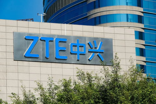 會員動態(tài) 會員服務(wù) 中國電子商會