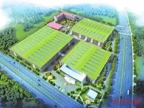 三甲醫(yī)院 國際學(xué)校 福州這個區(qū)域越來越火 今年已完成項(xiàng)目投資37億元