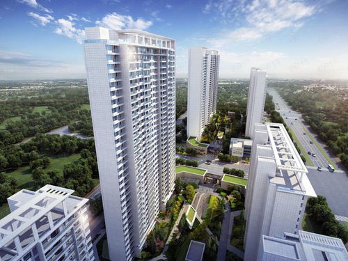 陽光城與林騰蛟 曾經(jīng)的輝煌與黯然離場